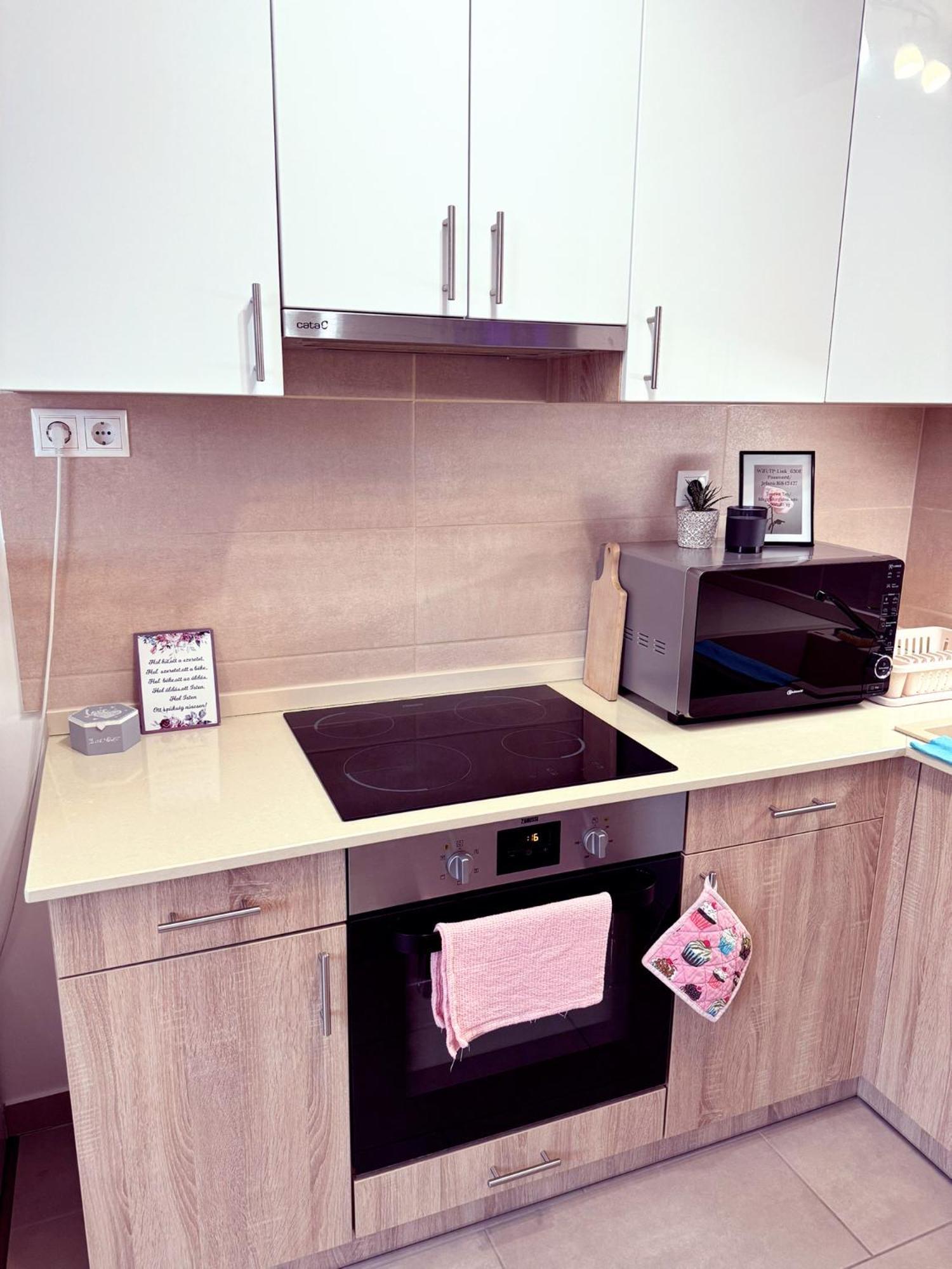 Appartement Exclusive Family Apartman à Pécs Extérieur photo